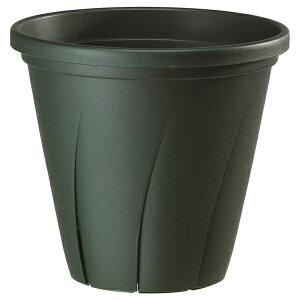 avX`bN ͂蔫 10_[NO[ |pi K[fjO  v^[