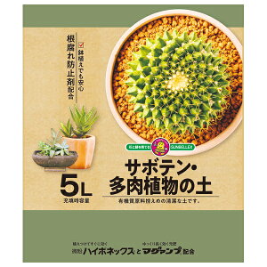  nC|lbNX{}O@vKz T{eEA̓y 5L