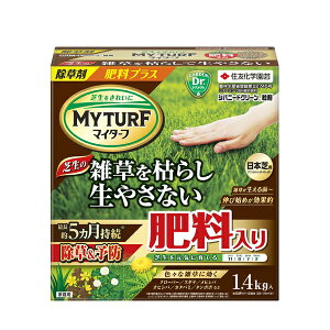 ZFw| }C^[tVoj[hO[ 1.4kg Ő G 