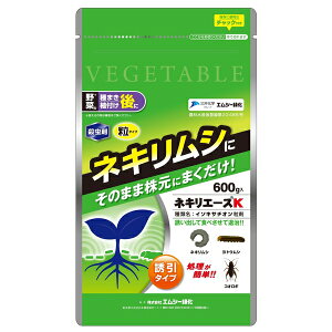 GV[Ή lLG[XK600glLVgEVRIM̖؂ [4571367110023]