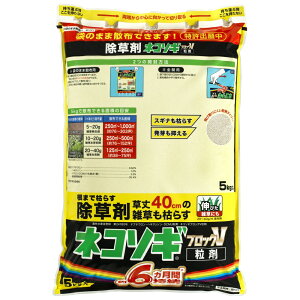 ���C���{�[��i �l�R�\�M�u���b�NV���� 5kg�� | ������ �l�R�\�M�u���b�NV ���� 5kg �G���΍� �ƒ�p ���� ��� ���| ���󏜑��� �������� �G���\�h ����40cm �e�u�`�E���� �w�L�T�W�m�� DCMU �L��