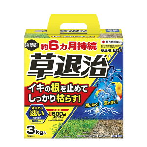 ZFw| ގE 3kg [4975292604617]y݌ɗLz