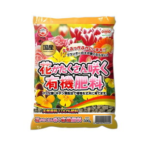 K[fCg Ԃ炭L@엿 500g [4560194955228]