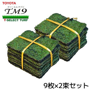 y2ėp ʕցzŐ TM9 eB[GiC 2ėp 1P[X(2)19 ȊǗ^ g^ TOYOTA VR TM-9 ŗp gn^  i ȊǗ Ő  x_ Ő}bg  o
