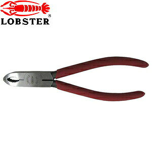 uebNX@lWAMX@NA175@(EH[^[|vvC^Cv)