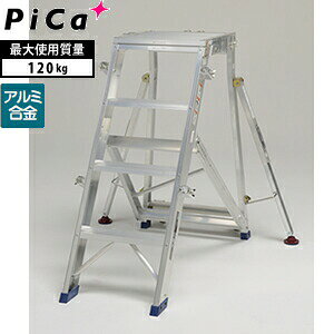 sJ(Pica)@A~@܂肽ݎƑ@DXR-120@[^Edʕ]