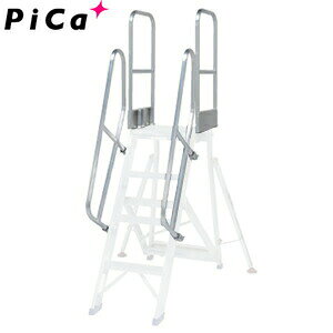 sJ(Pica)@A~@܂肽ݎƑpIvV@DXR-TE1@Ki肷@V@[^Edʕ]