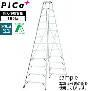 �s�J(Pica)�@�A���~�������@��p�r���@HM-C300�@[��^�E�d�ʕ�]
