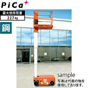 sJ(Pica)@Ǝԁ@TM12@[^Edʕ]