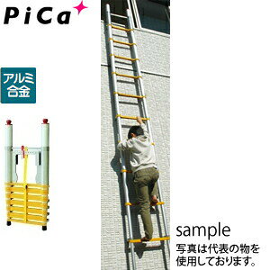 sJ(Pica)@p@Lk͂(ƌ荇ii)@SF4.5m@QQL-38