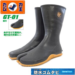 ͉(RIKIO) t@Xi[t hS^r GT-01(ҕt) ubN S`XL n܁E_|ƁEh