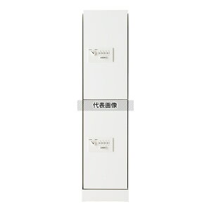 _hz[NGCg X֎ ip z{bNXX(_C) 2 @:893×220×425mm SK-CBX-602-WC [@l][ʓrς]