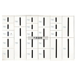 _hz[NGCg X֎ zCg tz{bNX(_C) ×3+×2 c @:1900×500×500mm SK-CBX-110-WC [@l][ʓrς]
