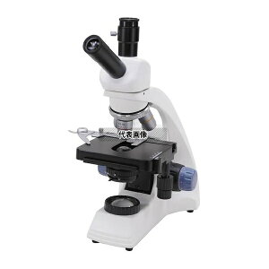 �P�j�X �P�j�X���������� LS-600V