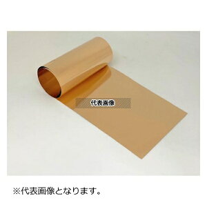 �V��&�Q�[�W �Ӑ����C�i�[ 1MX100X0.03-PB