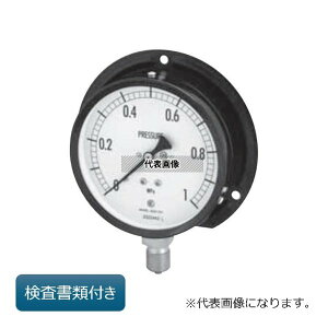 ����v�� ���ʌ`�A���v(���`B�g ��t���E��100 ����(�Z��)���ޕt��) AE20-231X-0.1/0.6MPA-GK �O���Z��