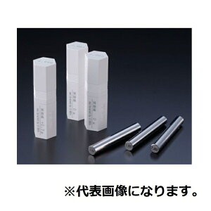 アイゼン マスターピンゲージ(0級・プラケース付 EP8.87