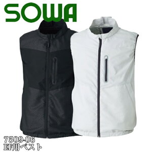 Ka(SOWA) 7509-06 EFpxXgixXĝ݁j IׂJ[F2F TCYFS`6L 󒲕EYEƒEƕ sowa-7509-06