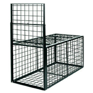 hHƁ@hqY@^bߊl@IS-3@Etype@NO.603@ЊJ(CmVVEVJp)@[@l][ʓrς]