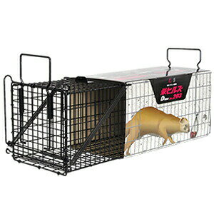 hHƁ@hqY@^bߊl(C^`-IXp)@IT-3@Dtype@NO.203