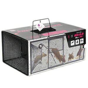 hHƁ@hqY@^bߊl(ncJlY~p)@NZ-2@Atype@NO.102