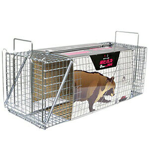 hHƁ@hqY@^bߊl(C^`-IXA^kLAk[gAp)@TN-4@Dtype@NO.304@[@l][ʓrς]