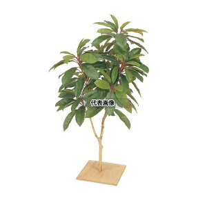 ^JV[ GD-11S 21610900 Ynt 90cm p lHA ϗt GD-11S [@l]