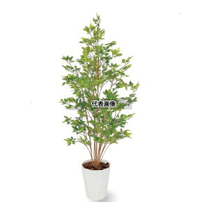 ^JV[ GD-120G 21574400 xW~O[ 1.5m p ϗtA lHA rO Ԏd؂ ډB GD-120G [@l]