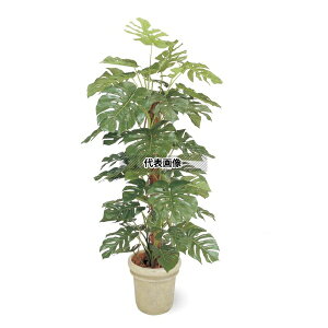 ^JV[ GD-146 21156200 Xe 1.8m p ϗtA lHA GD-146 [@l]