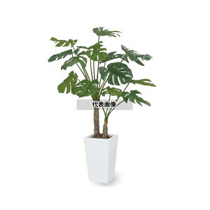 ^JV[ GD-186 33487200 Xe2{ 1.4m p ϗtA lHA GD-186 [@l]