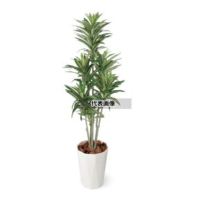 ^JV[ GD-187 33488900 hZi 1.2m p ϗtA lHA rO Ԏd؂ ډB GD-187 [@l]