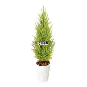 ^JV[ GD-188 33489600 S[hNXg S[h 1.2m p ϗtA lHA gsA[ GD-188 [@l]