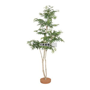 ^JV[ GD-191S 21898100 ݂  1.5m p a݂ lHA GD-191S [@l]