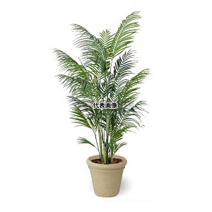 ^JV[ GD-194S 21450100 AJV 1.8m ^lH lHA ϗt GD-194S [@l]