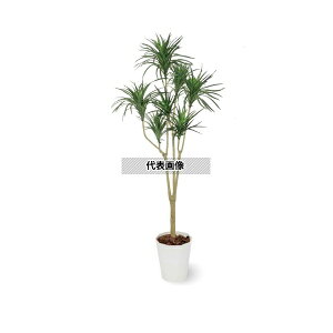 ^JV[ GD-196 33361500 hZi RVl 1.6m p ϗtA lHA rO Ԏd؂ ډB GD-196 [@l]