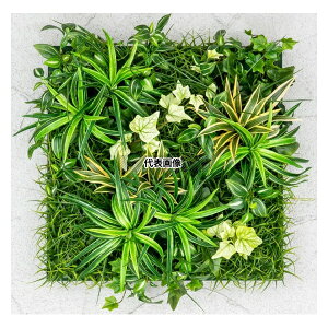 ^JV[ GD-201AF 33532900 ǖʃAW A hZi(t[t)45cm×45cm plHA tFCNO[ GD-201AF [@l]