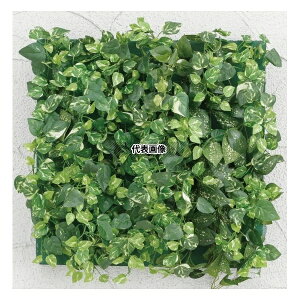 ^JV[ GD-201BF 33533600 ǖʃAW B ~j|gX(t[t)45cm×45cm plHA tFCNO[ GD-201BF [@l]