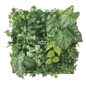 ^JV[ GD-201FF 33537400 ǖʃAW F JW[(t[t)45cm×45cm plHA tFCNO[ GD-201FF [@l]