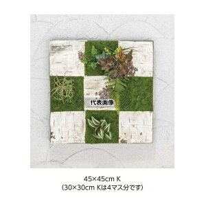 ^JV[ GD-201K 33608100 ǖʃAW K (t[)45cm×45cm plHA tFCNO[ GD-201K [@l]