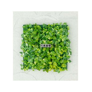 ^JV[ GD-203B 33168000 ǖʃAW B ~j|gX(t[)30cm×30cm plHA tFCNO[ GD-203B [@l]