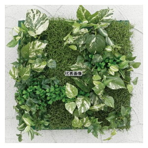 ^JV[ GD-203D 33170300 ǖʃAW D |gX(t[)30cm×30cm plHA tFCNO[ GD-203D [@l]