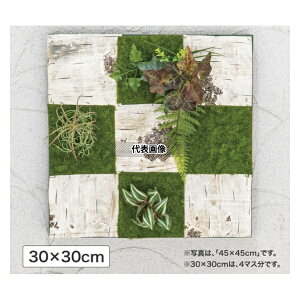 ^JV[ GD-203K 33270000 ǖʃAW K (t[)30cm×30cm plHA tFCNO[ GD-203K [@l]
