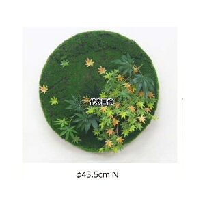 ^JV[ GD-206N 21960500 ǖʃAW43.5 NT[N ~W(t[) plHA tFCNO[ GD-206N [@l]