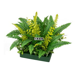 ^JV[ GD-216 33550300 RZbg V_ plHA tFCNO[ GD-216 [@l]