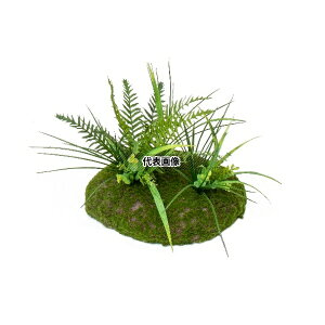 ^JV[ GD-217 33560200 ێRZbg V_ plHA tFCNO[ GD-217 [@l]