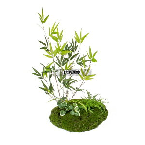 ^JV[ GD-218 33570100 ێRZbg  plHA tFCNO[ GD-218 [@l]