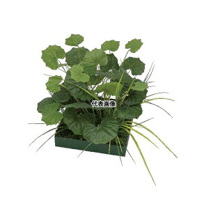 ^JV[ GD-222 33344800 RZbg cuL plHA tFCNO[ GD-222 [@l]