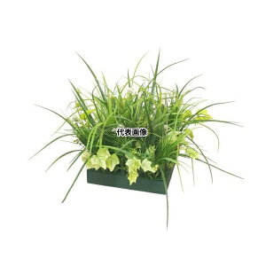 ^JV[ GD-223 33346200 RZbg J~[ plHA tFCNO[ GD-223 [@l]