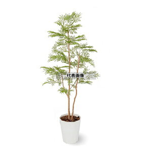 ^JV[ GD-238 21445700 Go[tbV t 1.5m p ϗtA lHA rO Ԏd؂ ډB GD-238 [@l]