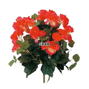 ^JV[ GN-34R 21647500 xSjA bh W25cm p ϗtA lHA ؒ┫Ả GN-34R [@l]